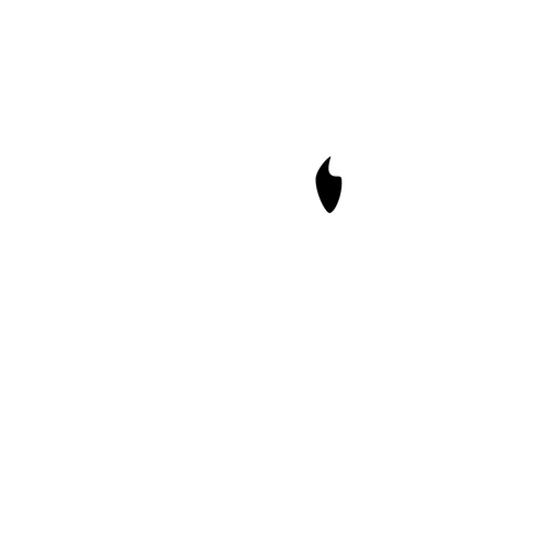 ThirdEye-Concept